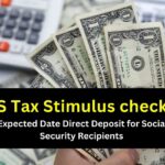 IRS Tax Stimulus check 4